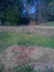 Prairie_dog_holes_closed_008